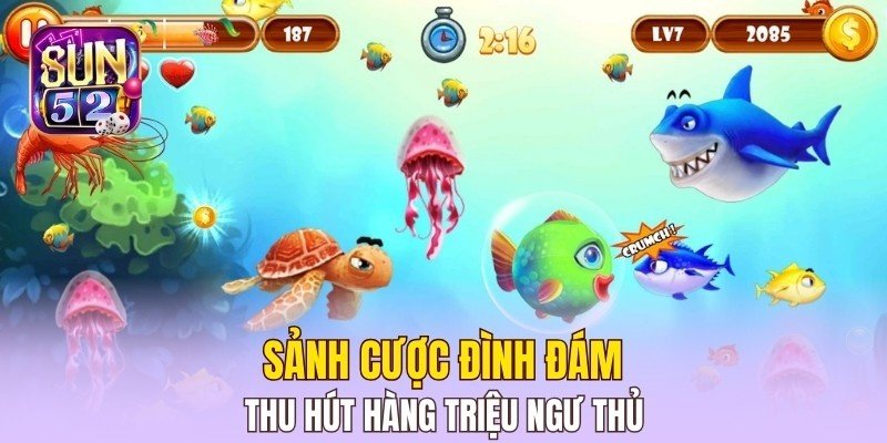 Sảnh cược đình đám thu hút hàng triệu ngư thủ