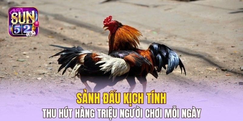 Sảnh đấu kịch tính thu hút hàng triệu người chơi mỗi ngày